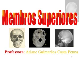 [object Object],Membros Superiores 1 3 2 