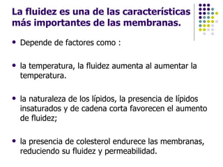La fluidez es una de las características más importantes de las membranas. Depende de factores como : la temperatura, la fluidez aumenta al aumentar la temperatura.  la naturaleza de los lípidos, la presencia de lípidos insaturados y de cadena corta favorecen el aumento de fluidez; la presencia de colesterol endurece las membranas, reduciendo su fluidez y permeabilidad.  