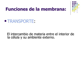 Funciones de la membrana: TRANSPORTE : El intercambio de materia entre el interior de la célula y su ambiente externo. 