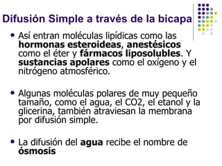 Difusión Simple a través de la bicapa Así entran moléculas lipídicas como las  hormonas esteroideas ,  anestésicos  como el éter y  fármacos liposolubles . Y  sustancias apolares  como el oxígeno y el nitrógeno atmosférico.  Algunas moléculas polares de muy pequeño tamaño, como el agua, el CO2, el etanol y la glicerina, también atraviesan la membrana por difusión simple.  La difusión del  agua  recibe el nombre de  ósmosis  