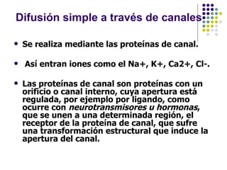 Difusión simple a través de canales Se realiza mediante las proteínas de canal. Así entran iones como el Na+, K+, Ca2+, Cl-.  Las proteínas de canal son proteínas con un orificio o canal interno, cuya apertura está regulada, por ejemplo por ligando, como ocurre con  neurotransmisores u hormonas , que se unen a una determinada región, el receptor de la proteína de canal, que sufre una transformación estructural que induce la apertura del canal.  