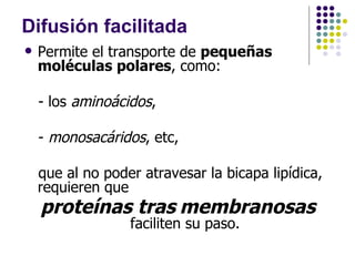 Difusión facilitada Permite el transporte de  pequeñas moléculas polares , como: - los  aminoácidos , -  monosacáridos , etc, que al no poder atravesar la bicapa lipídica, requieren que  proteínas tras   membranosas  faciliten su paso.  