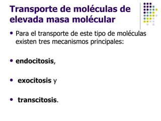 Transporte de moléculas de elevada masa molécular Para el transporte de este tipo de moléculas existen tres mecanismos principales:  endocitosis , exocitosis  y transcitosis .  