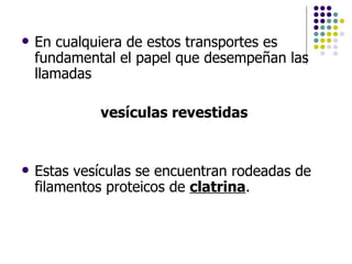 En cualquiera de estos transportes es fundamental el papel que desempeñan las llamadas  vesículas revestidas   Estas vesículas se encuentran rodeadas de filamentos proteicos de  clatrina .  