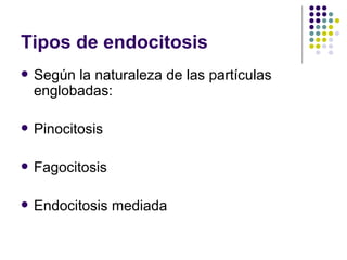 Tipos de endocitosis Según la naturaleza de las partículas englobadas:  Pinocitosis Fagocitosis Endocitosis mediada  