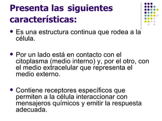 Presenta las siguientes características:  Presenta las   siguientes características: Es una estructura continua que rodea a la célula.  Por un lado está en contacto con el citoplasma (medio interno) y, por el otro, con el medio extracelular que representa el medio externo.  Contiene receptores específicos que permiten a la célula interaccionar con mensajeros químicos y emitir la respuesta adecuada.  