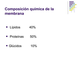 Composición química de la membrana Lípidos  40% Proteínas  50% Glúcidos  10%  
