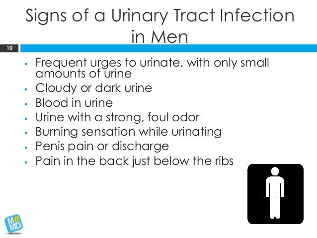 with pdf a back consultation doctor the Health MeMD Tract Brief: Infections Urinary