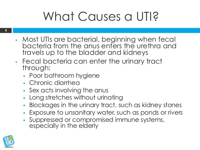 MeMD Health Brief: Urinary Tract Infections