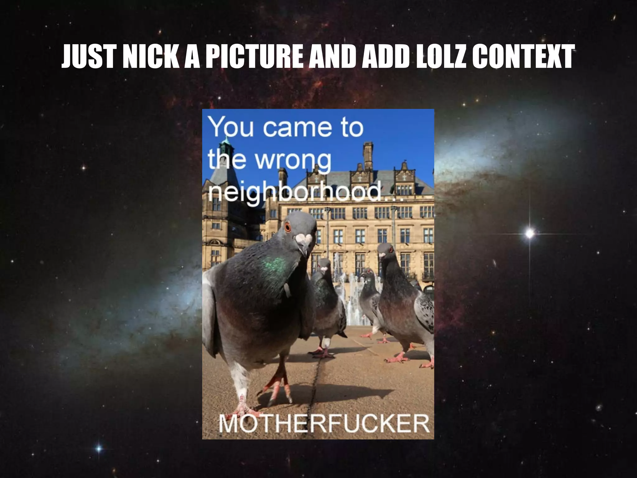 JUST NICK A PICTURE AND ADD LOLZ CONTEXT
 