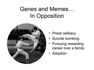 Genes and Memes… In Opposition Priest celibacy Suicide bombing Pursuing rewarding career over a family Adoption 