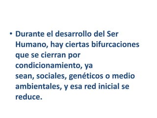 Durante el desarrollo del Ser Humano, hay ciertas bifurcaciones que se cierran por condicionamiento, ya sean, sociales, genéticos o medio ambientales, y esa red inicial se reduce.