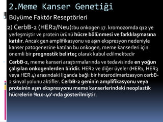 2.Meme Kanser Genetiği
 Büyüme Faktör Reseptörleri
2) CerbB-2 (HER2/Neu):bu onkogen 17. kromozomda q12 ye
yerleşmiştir ve protein ürünü hücre bölünmesi ve farklılaşmasına
katılır. Ancak gen amplifikasyonu ve aşırı ekspresyon nedeniyle
kanser patogenezine katılan bu onkogen, meme kanserleri için
önemli bir prognostik belirteç olarak kabul edilmektedir
 CerbB-2, meme kanseri araştırmalarında ve tedavisinde en yoğun
çalışılan onkogenlerden biridir. HER2 ve diğer üyeler (HER1, HER3
veya HER 4) arasındaki liganda bağlı bir heterodimerizasyon cerbB-
2 sinyal yolunu aktifler. CerbB-2 geninin amplifikasyonu veya
proteinin aşırı ekspresyonu meme kanserlerindeki neoplastik
hücrelerin %10-40’›nda gösterilmiştir.
 
