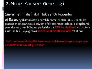 2.Meme Kanser Genetiği
 Sinyal İletimi ile İlişkili Nuklear Onkogenler
 2) Ras:Sinyal iletiminde önemli bir aracı moleküldür. Genellikle
plazma membranındaki büyüme faktörü reseptörlerinin sitoplazmik
parçalarına yakın bölgeye yerleşirler ve GTP ile aktiflenir ve protein
kinazlar ile ilişkiye girerek mitozun aktifleflmesinde rol alırlar.
 Ras’›n onkogenik özellik kazanması nokta mutasyonu veya gen
ekspresyonunun artışı ile olur
 
