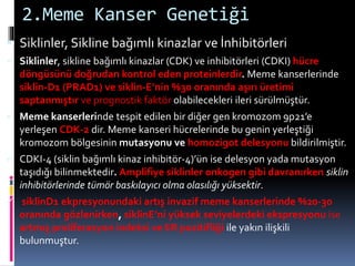 2.Meme Kanser Genetiği
 Siklinler, Sikline bağımlı kinazlar ve İnhibitörleri
 Siklinler, sikline bağımlı kinazlar (CDK) ve inhibitörleri (CDKI) hücre
döngüsünü doğrudan kontrol eden proteinlerdir. Meme kanserlerinde
siklin-D1 (PRAD1) ve siklin-E’nin %30 oranında aşırı üretimi
saptanmıştır ve prognostik faktör olabilecekleri ileri sürülmüştür.
 Meme kanserlerinde tespit edilen bir diğer gen kromozom 9p21’e
yerleşen CDK-2 dir. Meme kanseri hücrelerinde bu genin yerleştiği
kromozom bölgesinin mutasyonu ve homozigot delesyonu bildirilmiştir.
 CDKI-4 (siklin bağımlı kinaz inhibitör-4)’ün ise delesyon yada mutasyon
taşıdığı bilinmektedir. Amplifiye siklinler onkogen gibi davranırken siklin
inhibitörlerinde tümör baskılayıcı olma olasılığı yüksektir.
 siklinD1 ekpresyonundaki artış invazif meme kanserlerinde %20-30
oranında gözlenirken, siklinE’ni yüksek seviyelerdeki ekspresyonu ise
artmış proliferasyon indeksi ve ER pozitifliği ile yakın ilişkili
bulunmuştur.
 
