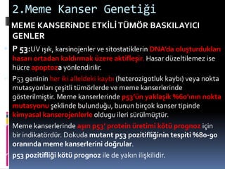 2.Meme Kanser Genetiği
MEME KANSERiNDE ETKİLİTÜMÖR BASKILAYICI
GENLER
 P 53:UV ışık, karsinojenler ve sitostatiklerin DNA’da oluşturdukları
hasarı ortadan kaldırmak üzere aktifleşir. Hasar düzeltilemez ise
hücre apoptoza yönlendirilir.
 P53 geninin her iki alleldeki kaybı (heterozigotluk kaybı) veya nokta
mutasyonları çeşitli tümörlerde ve meme kanserlerinde
gösterilmiştir. Meme kanserlerinde p53’ün yaklaşik %60’ının nokta
mutasyonu şeklinde bulunduğu, bunun birçok kanser tipinde
kimyasal kanserojenlerle oldugu ileri sürülmüştür.
 Meme kanserlerinde aşırı p53’ protein üretimi kötü prognoz için
bir indikatördür. Dokuda mutant p53 pozitifliğinin tespiti %80-90
oranında meme kanserlerini doğrular.
 p53 pozitifliği kötü prognoz ile de yakın ilişkilidir.
 