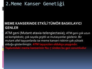 2.Meme Kanser Genetiği
MEME KANSERiNDE ETKİLİTÜMÖR BASKILAYICI
GENLER
 ATM geni (Mutant ataxia-telengiectasia); ATM geni çok uzun
ve komplekstir, çok sayıda çeşitli ve mutasyonlar gözlenir. Bir
mutant allel taşıyanlarda ise meme kanseri riskinin çok yüksek
olduğu gösterilmiştir. ATM taşıyıcıları oldukça yaygındır.
Toplumdaki meme kanserinin %2-7 sinden bu gen sorumludur
 