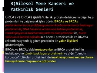 3)Ailesel Meme Kanseri ve
Yatkınlık Genleri
 BRCA1 ve BRCA2 genleri:Her iki protein de hücrenin diğer bazı
proteinleri ile bağlanarak işlev görür. BRCA1 ve BRCA2
proteinlerinin hücre proliferasyonunun kontrolünde tümör baskılayıcı
proteinler ile, DNA hasarına ve tamirine katılan proteinler ile,
transkripsiyonun düzenlenmesinde rol alan proteinler ile, hücre
siklusunun kontrol noktalarının önemli proteinleri ile ve DNA’da
rekombinasyonda iş gören proteinler ile yakın ilişkileri
gösterilmiştir.
 BRCA1 ve BRCA2’deki mutasyonlar ve BRCA proteinlerinin
inaktivasyonu tümör baskılayıcı proteinlerin ve diğer “genom
koruyucu” rolü olan proteinlerinde inaktivasyonuna neden olarak
hücreyi tümör oluşumuna götürürler.
 