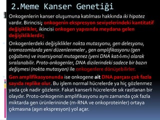 2.Meme Kanser Genetiği
 Onkogenlerin kanser oluşumuna katılması hakkında iki hipotez
vardır. Birincisi; onkogenin ekspresyon seviyelerindeki kantitatif
değişiklikler, ikincisi onkogen yapısında meydana gelen
değişikliklerdir;
 Onkogenlerdeki değişiklikler nokta mutasyonu, gen delesyonu,
kromozomlarda yeni düzenlenmeler , gen amplifikasyonu (gen
çoğaltımı) ve insersiyonal mutagenez (yeni DNA kat›l›m›) olarak
sıralanabilir. Proto-onkogenler, DNA dizilerindeki sadece bir bazın
değişmesi (nokta mutasyon) ile onkogenlere dönüşebilirler.
 Gen amplifikasyonunda ise onkogene ait DNA parçası çok fazla
sayıda replike olur. Bu işlem normal hücrelerde ya hiç gözlenmez
yada çok nadir gözlenir. Fakat kanserli hücrelerde sık rastlanan bir
olaydır. Proto-onkogenin amplifikasyonu aynı zamanda çok fazla
miktarda gen ürünlerininde (m-RNA ve onkoproteinler) ortaya
çıkmasına (aşırı ekspresyon) yol açar.
 