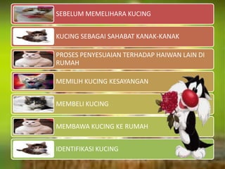 Memelihara kucing | PPTX