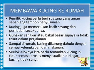 Memelihara kucing | PPTX
