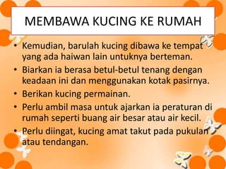 Memelihara kucing | PPTX