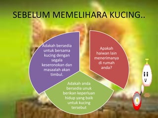 Memelihara kucing | PPTX