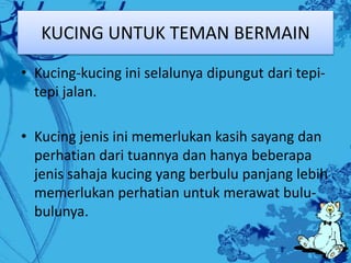 Memelihara kucing | PPTX