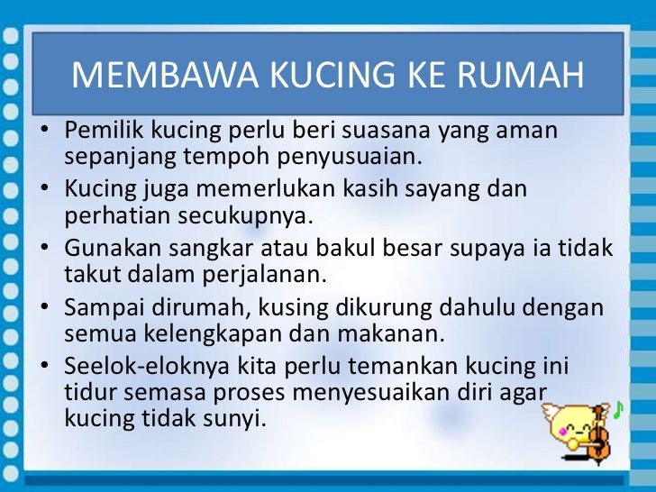 Memelihara Kucing