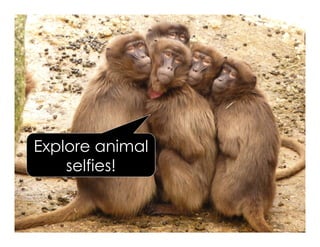 Explore angles
Selfie Math
Geometry Circle areas
Symmetry
Fractions
ShellyTerrell.com/selfie
 