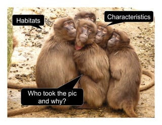 Explore animal
selfies!
ShellyTerrell.com/selfie
 