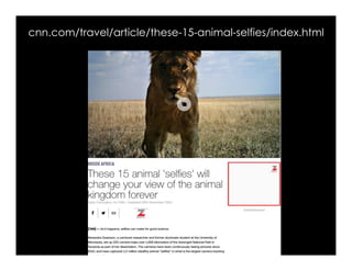 Habitats
Characteristics
Who took the pic
and why?
ShellyTerrell.com/selfie
 