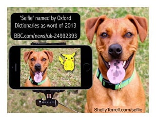 ShellyTerrell.com/selfie
'Selfie' named by Oxford
Dictionaries as word of 2013
BBC.com/news/uk-24992393
 