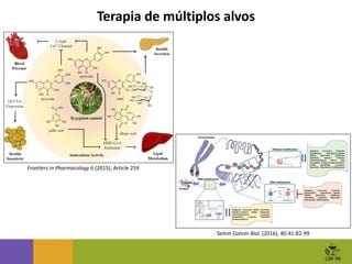 Semin Cancer Biol. (2016), 40-41:82-99
Terapia de múltiplos alvos
Frontiers in Pharmacology 6 (2015), Article 259
 