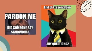 memes and their evolution and future.pptx