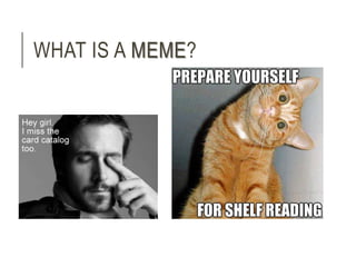 WHAT IS A MEME? 
 