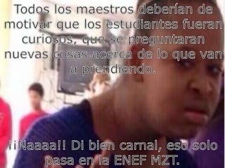 Memes del  libro el gran maestro