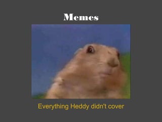 Memes Everything Heddy didn't cover 