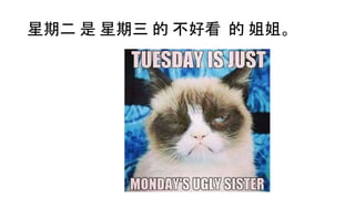 星期 Meme Talk | PPTX