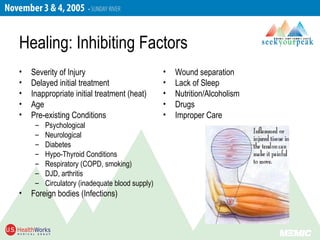 Healing: Inhibiting Factors
• Severity of Injury
• Delayed initial treatment
• Inappropriate initial treatment (heat)
• Age
• Pre-existing Conditions
– Psychological
– Neurological
– Diabetes
– Hypo-Thyroid Conditions
– Respiratory (COPD, smoking)
– DJD, arthritis
– Circulatory (inadequate blood supply)
• Foreign bodies (Infections)
• Wound separation
• Lack of Sleep
• Nutrition/Alcoholism
• Drugs
• Improper Care
 