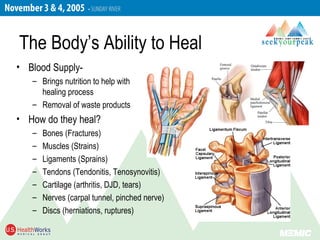 The Body’s Ability to Heal
• Blood Supply-
– Brings nutrition to help with
healing process
– Removal of waste products
• How do they heal?
– Bones (Fractures)
– Muscles (Strains)
– Ligaments (Sprains)
– Tendons (Tendonitis, Tenosynovitis)
– Cartilage (arthritis, DJD, tears)
– Nerves (carpal tunnel, pinched nerve)
– Discs (herniations, ruptures)
 