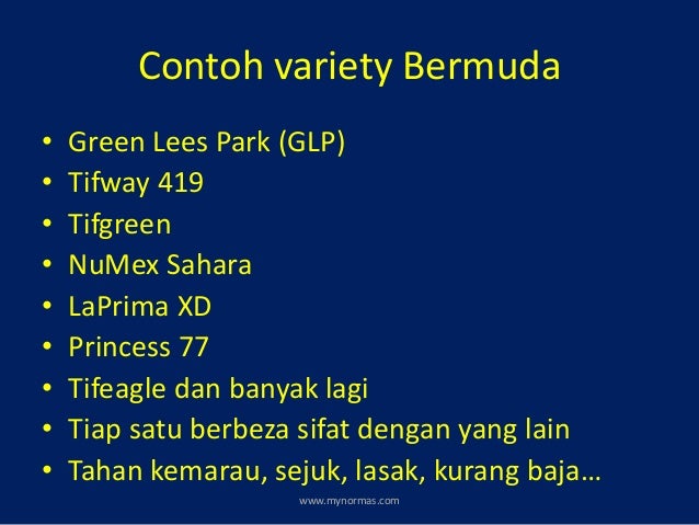 Memilih rumput untuk sebuah stadium