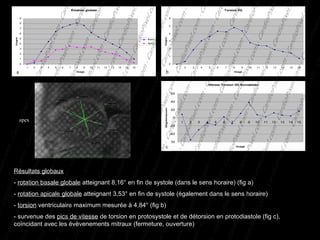 Résultats globaux -  rotation basale globale  atteignant 8,16° en fin de systole (dans le sens horaire) (fig a) -  rotation apicale globale  atteignant 3,53° en fin de systole (également dans le sens horaire) -  torsion  ventriculaire maximum mesurée à 4,84° (fig b) - survenue des  pics de vitesse  de torsion en protosystole et de détorsion en protodiastole (fig c), coïncidant avec les évèvenements mitraux (fermeture, ouverture) a c b apex 