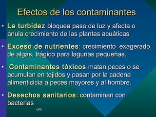 EEffeeccttooss ddee llooss ccoonnttaammiinnaanntteess 
? LLaa ttuurrbbiiddeezz bbllooqquueeaa ppaassoo ddee lluuzz yy aaffeeccttaa oo 
aannuullaa ccrreecciimmiieennttoo ddee llaass ppllaannttaass aaccuuttiiccaass 
? EExxcceessoo ddee nnuuttrriieenntteess:: ccrreecciimmiieennttoo eexxaaggeerraaddoo 
ddee aallggaass,, ttrrggiiccoo ppaarraa llaagguunnaass ppeeqquuee??aass.. 
? CCoonnttaammiinnaanntteess ttxxiiccooss mmaattaann ppeecceess oo ssee 
aaccuummuullaann eenn tteejjiiddooss yy ppaassaann ppoorr llaa ccaaddeennaa 
aalliimmeennttiicciicciiaa aa ppeecceess mmaayyoorreess yy aall hhoommbbrree.. 
? DDeesseecchhooss ssaanniittaarriiooss:: ccoonnttaammiinnaann ccoonn 
bbaacctteerriiaass 
UNI 
 