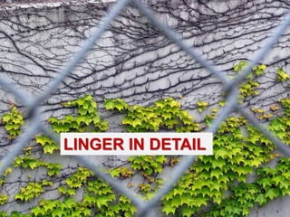 LINGER IN DETAIL
 