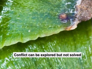 Conflict can be explored but not solved
 
