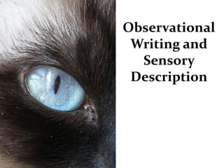 Observational
 Writing and
  Sensory
 Description
 