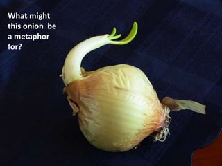 What might
this onion be
a metaphor
for?
 