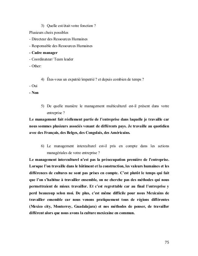 Memoire Management interculturel France Mexique