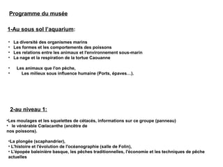 Programme du musée
1-Au sous sol l’aquarium:
• La diversité des organismes marins
• Les formes et les comportements des poissons
• Les relations entre les animaux et l'environnement sous-marin
• La nage et la respiration de la tortue Caouanne
2-au niveau 1:
•Les moulages et les squelettes de cétacés, informations sur ce groupe (panneau)
• le vénérable Cœlacanthe (ancêtre de
nos poissons).
•La plongée (scaphandrier), 
• L'histoire et l'évolution de l'océanographie (salle de Folin), 
• L'épopée baleinière basque, les pêches traditionnelles, l'économie et les techniques de pêche
actuelles
• Les animaux que l'on pèche, 
•     Les milieux sous influence humaine (Ports, épaves…).
 